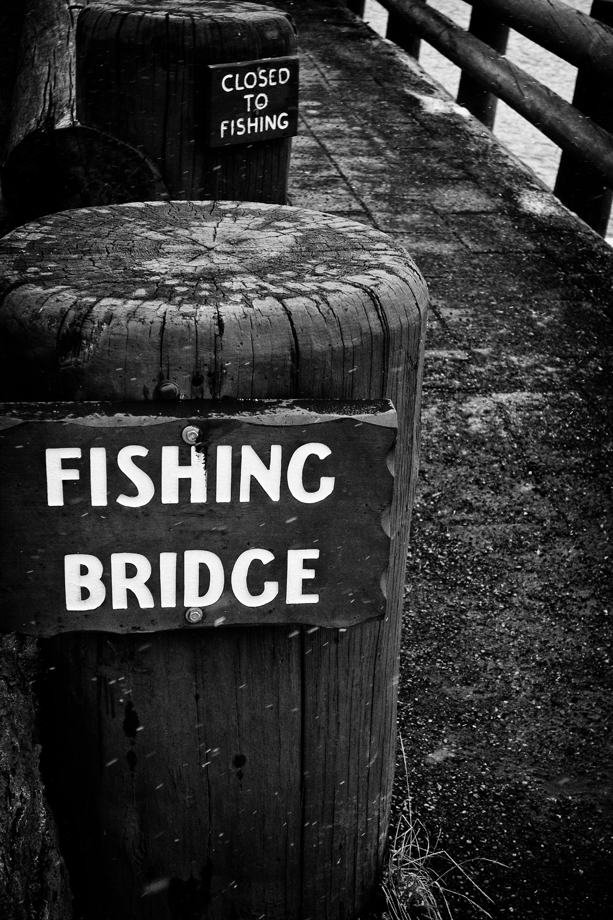 7: Fishing Bridge … Or Not
