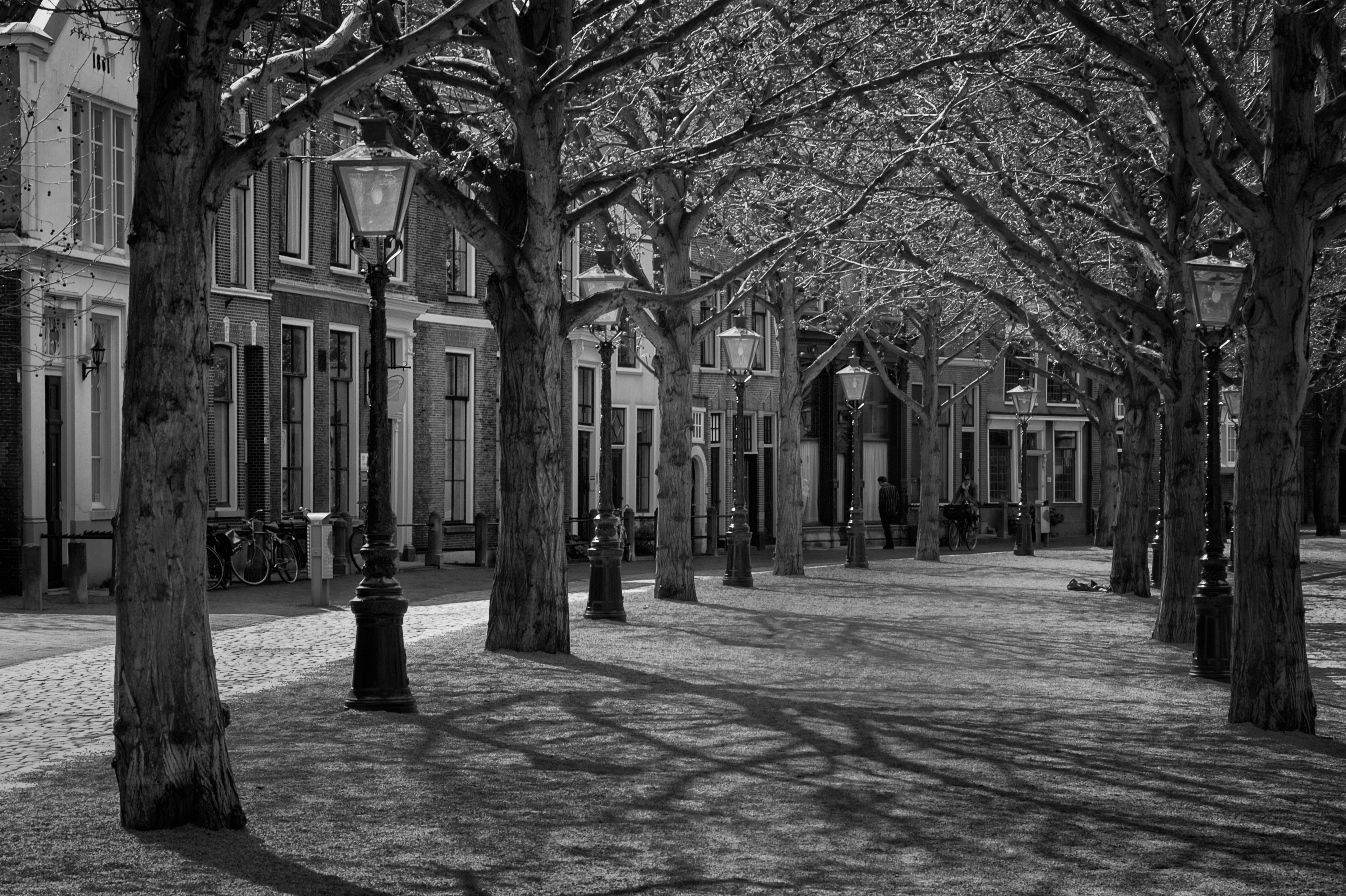 35: Leiden Street Scene