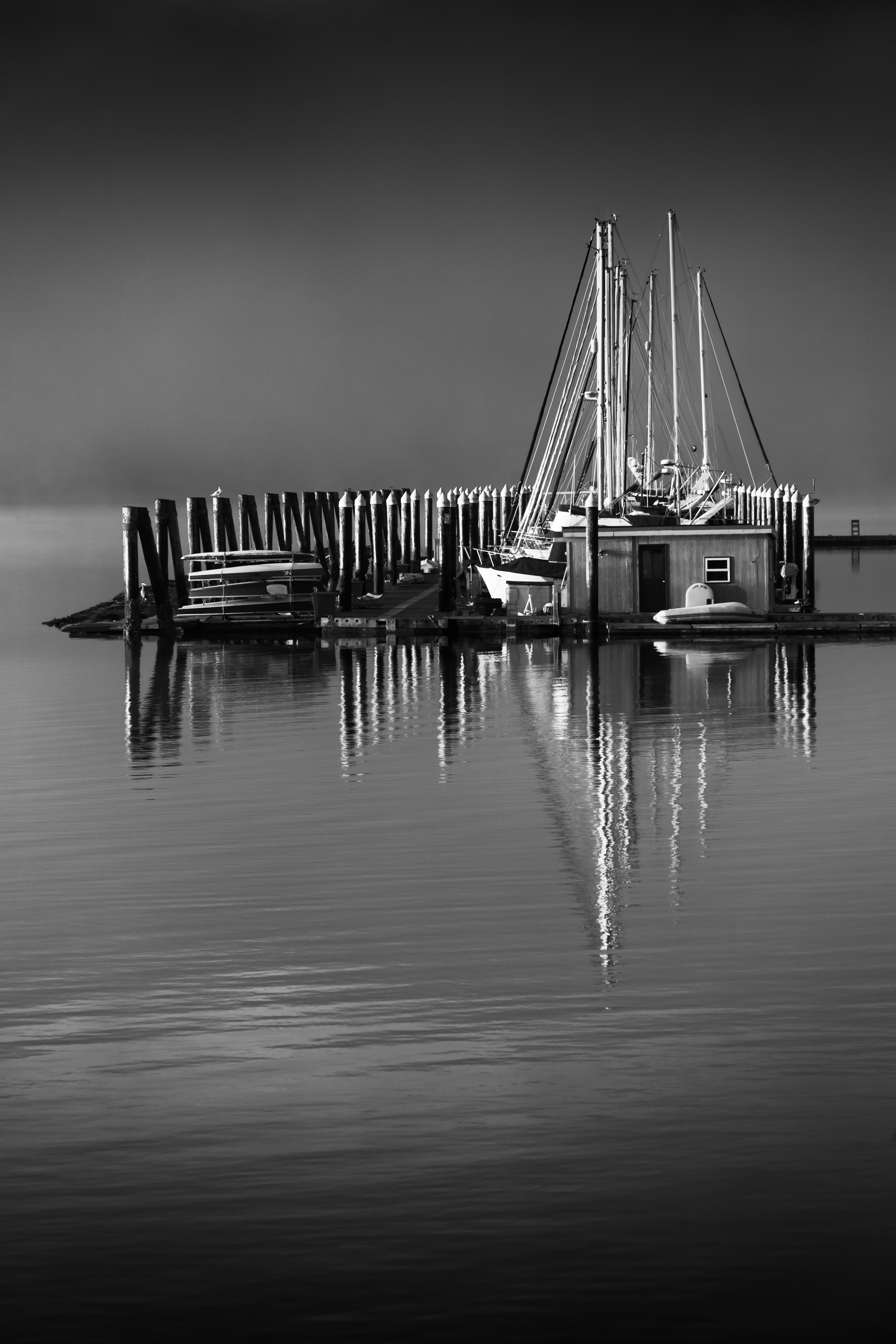 29: Liberty Bay Fog